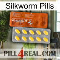 Silkworm Pills 42